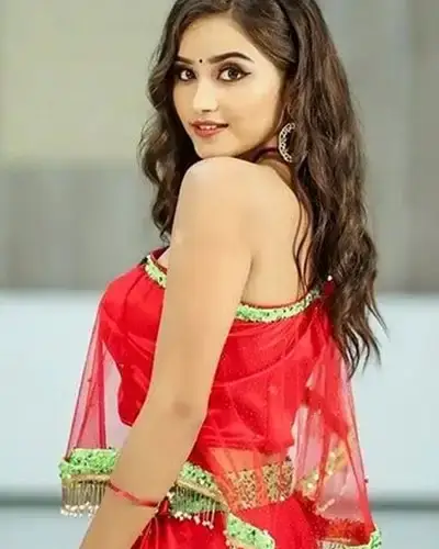 Call Girls Service Jevargi